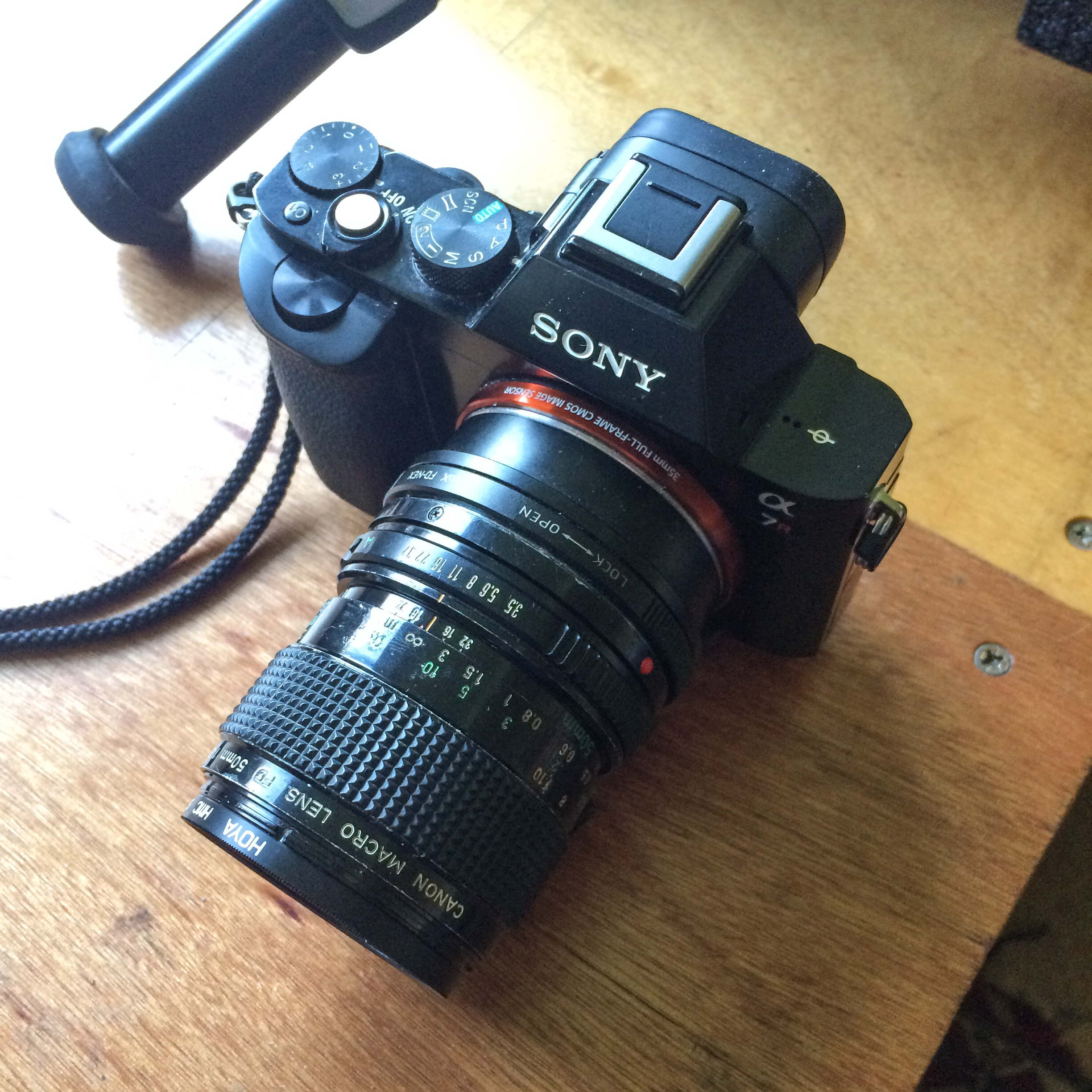 Canon FD 50mm f3.5 macro – Anthony Pearson, photographer